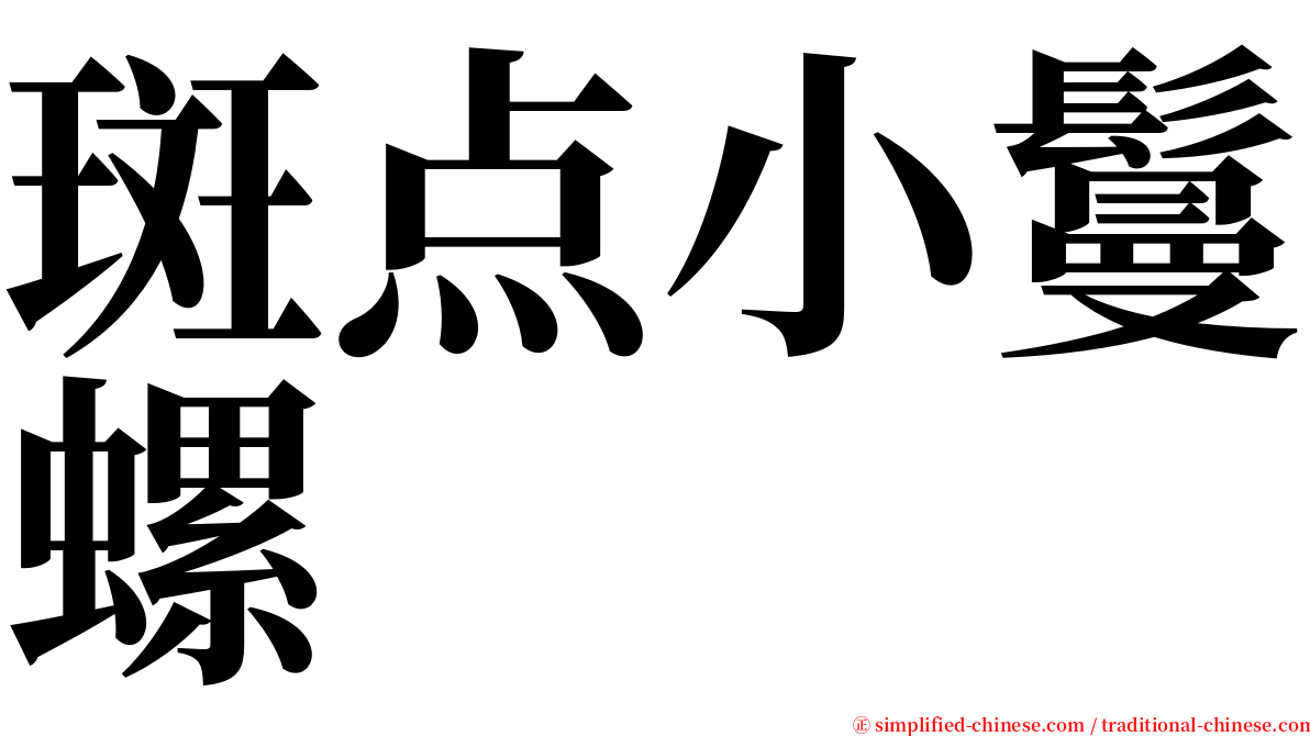 斑点小鬘螺 serif font