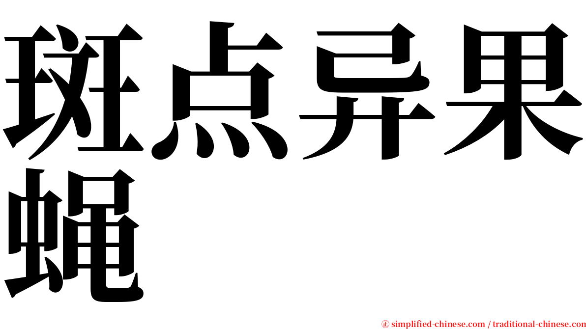 斑点异果蝇 serif font