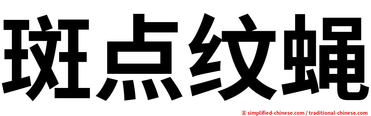 斑点纹蝇
