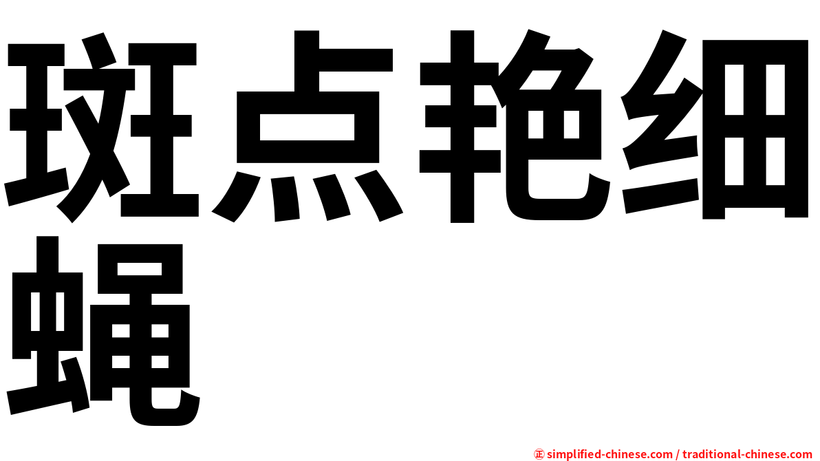 斑点艳细蝇