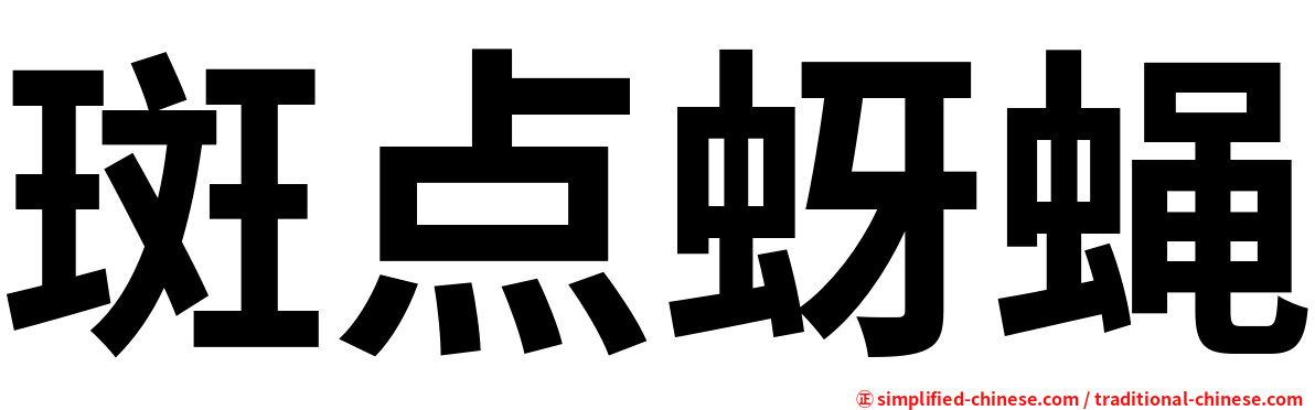 斑点蚜蝇