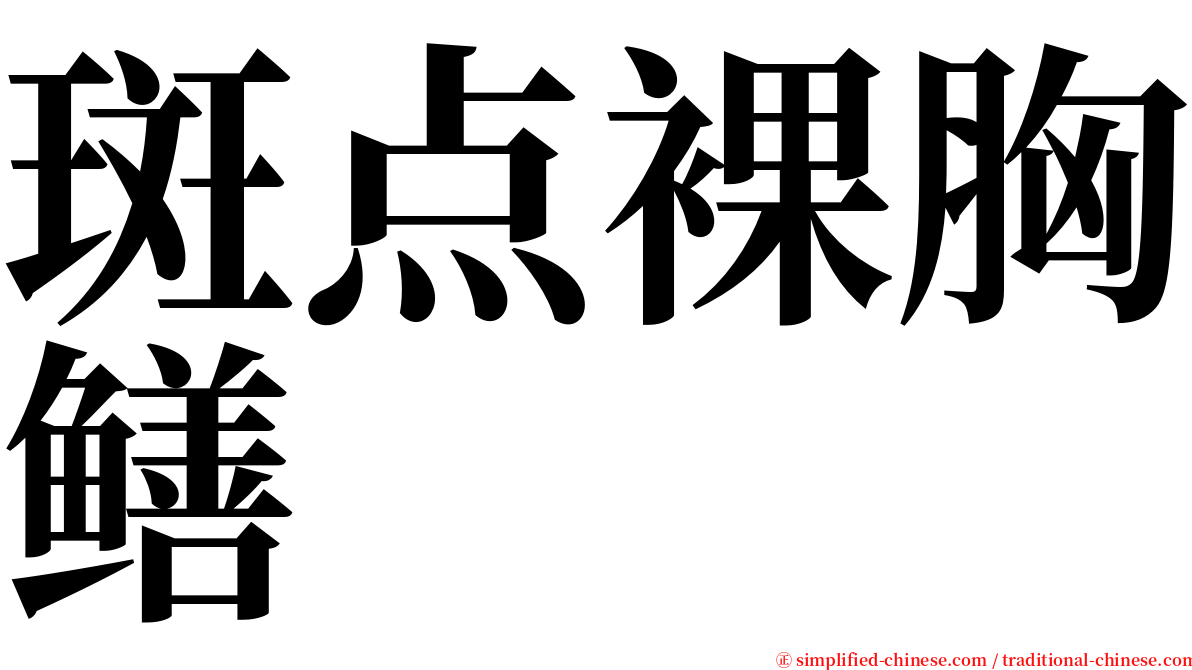 斑点裸胸鳝 serif font