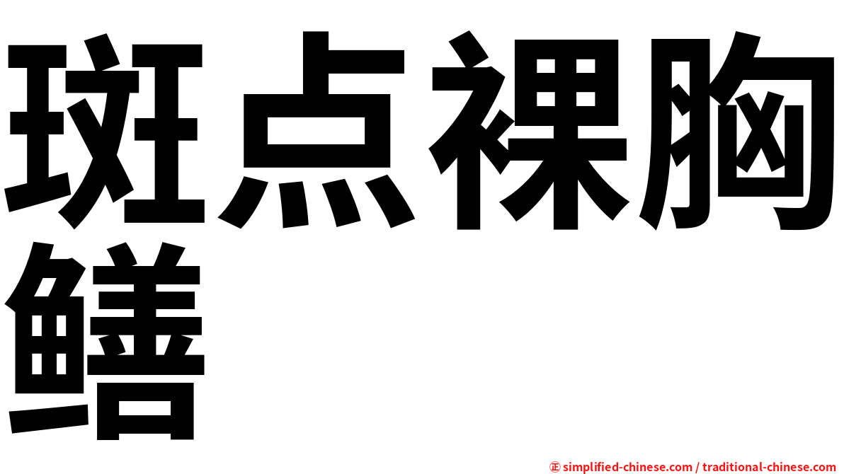 斑点裸胸鳝