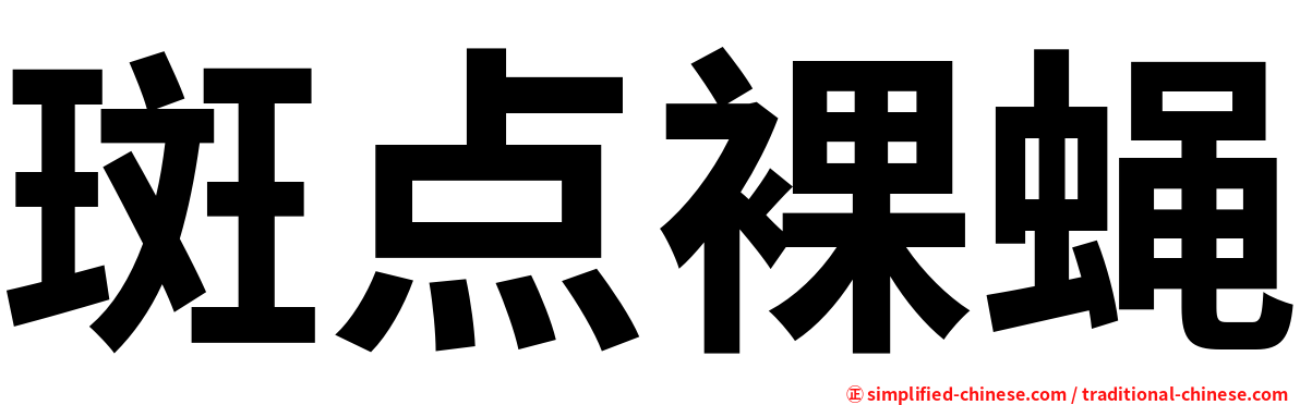斑点裸蝇