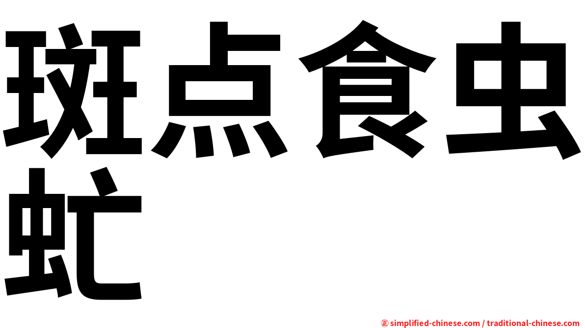 斑点食虫虻