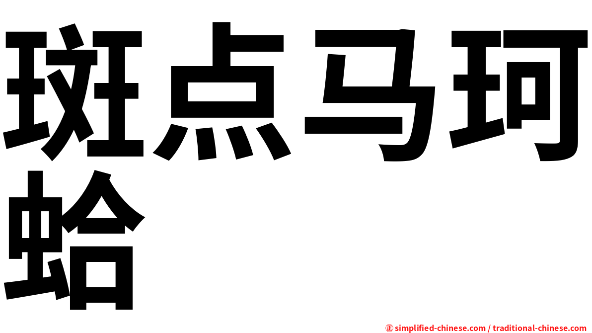 斑点马珂蛤