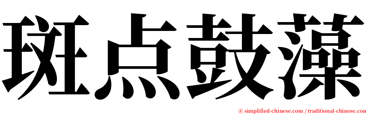 斑点鼓藻 serif font