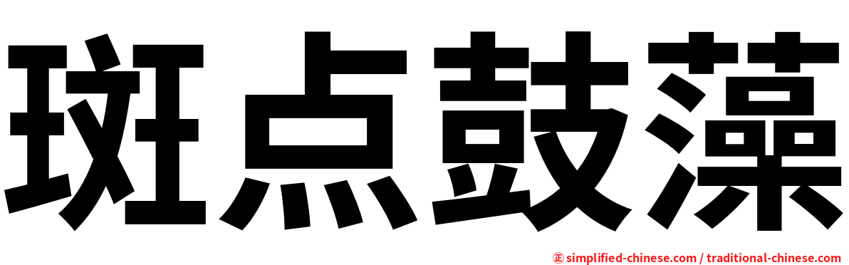 斑点鼓藻
