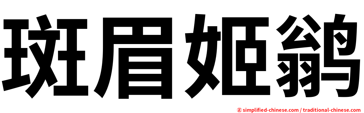 斑眉姬鹟