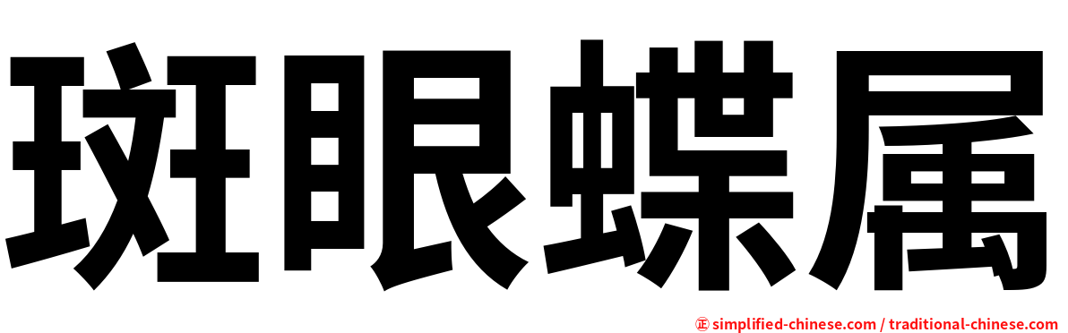 斑眼蝶属