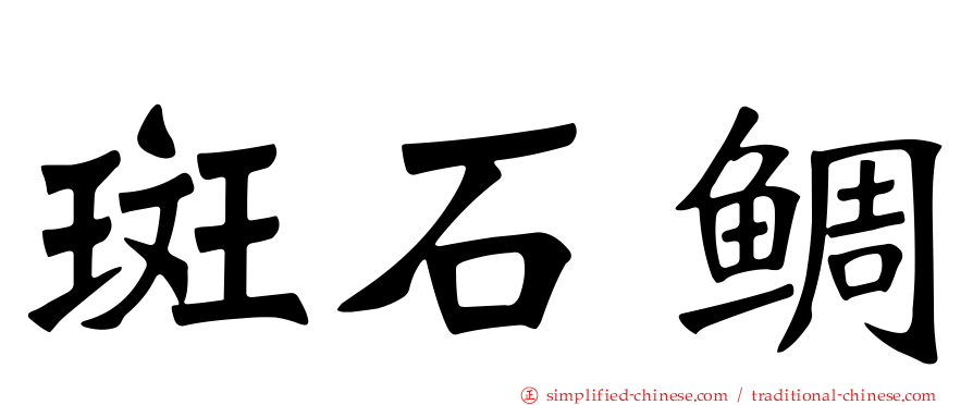斑石鲷