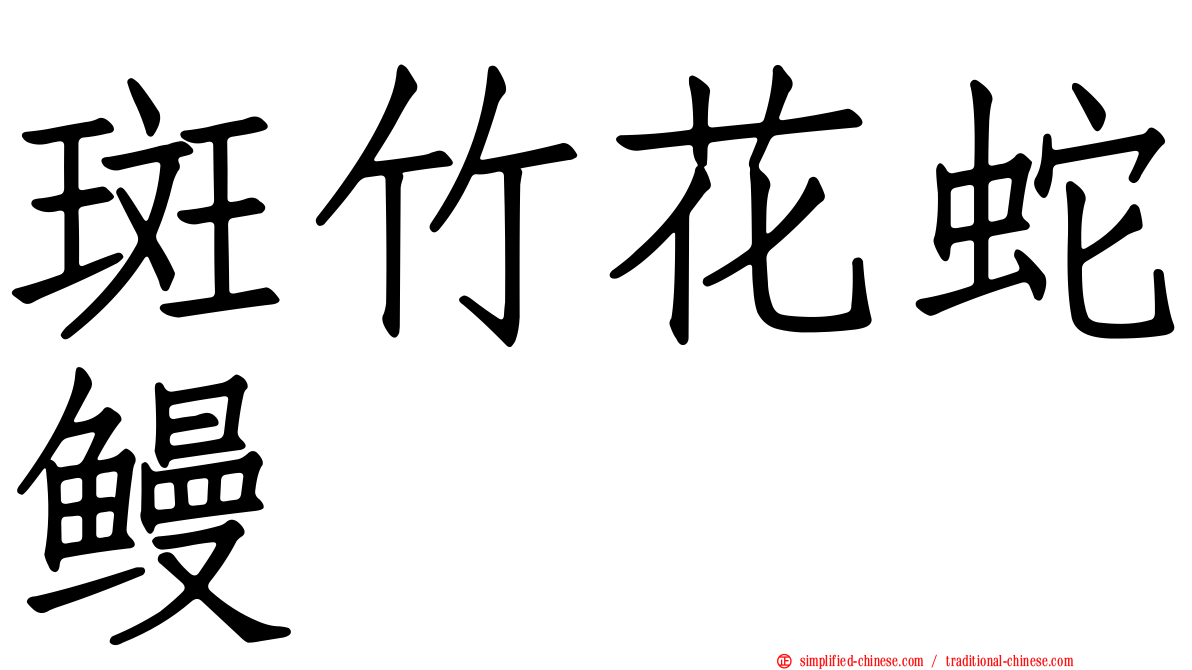 斑竹花蛇鳗
