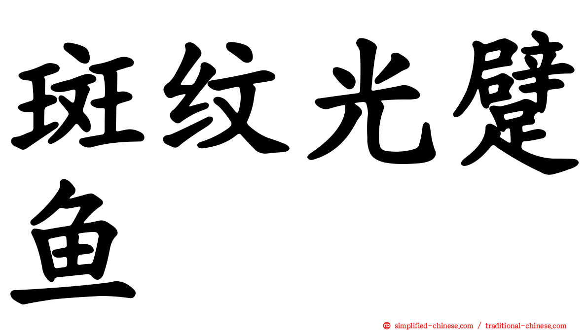 斑纹光躄鱼