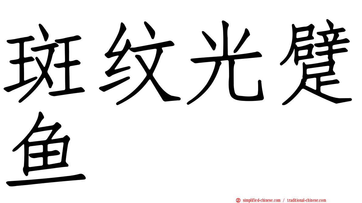 斑纹光躄鱼