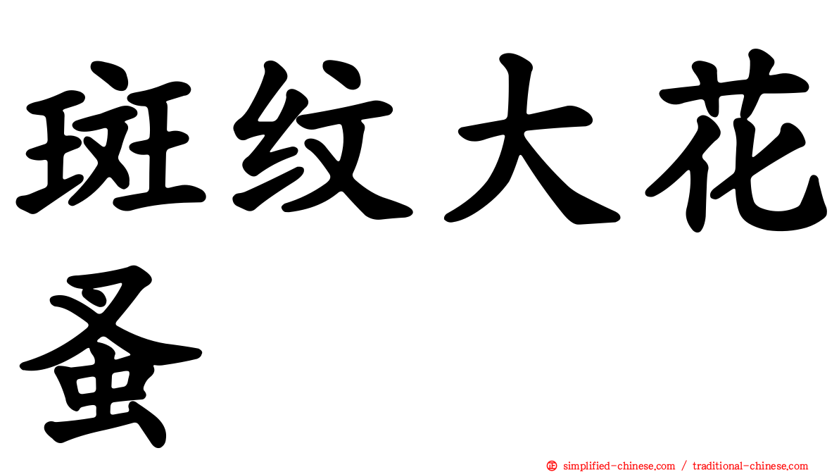 斑纹大花蚤