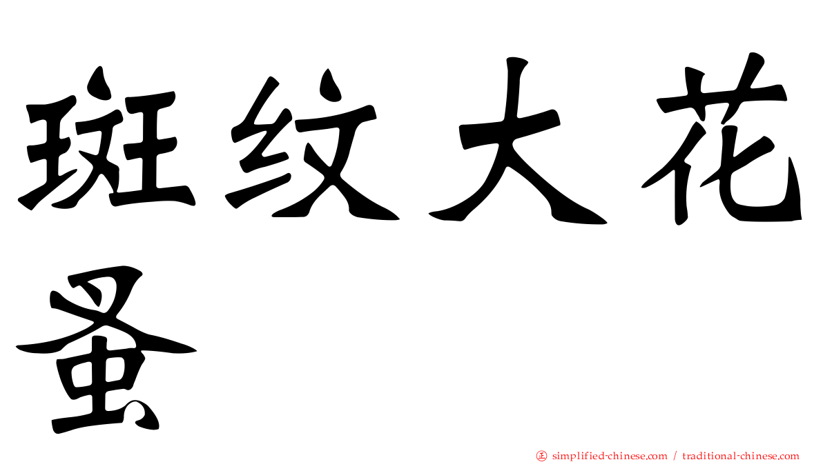 斑纹大花蚤