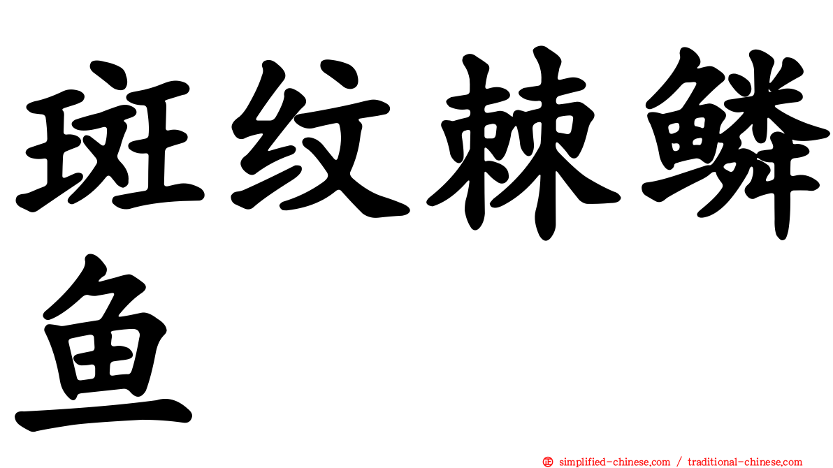 斑纹棘鳞鱼