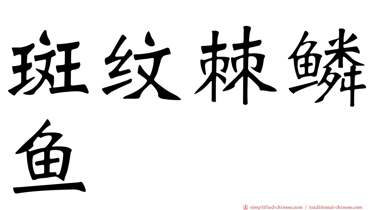 斑纹棘鳞鱼
