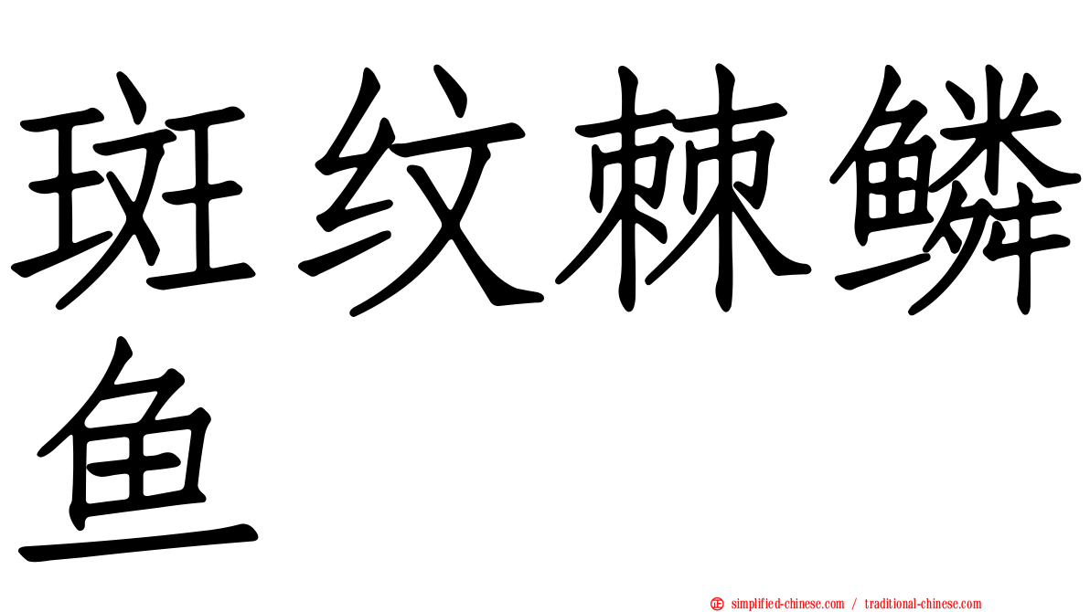 斑纹棘鳞鱼