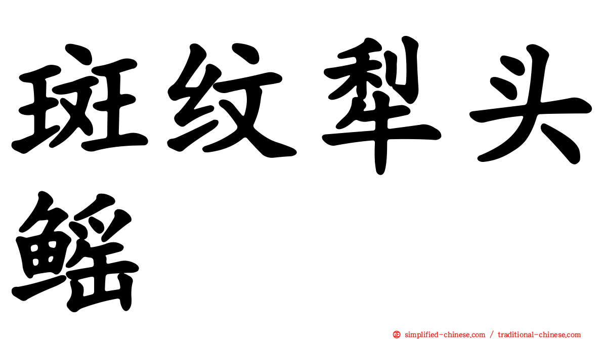斑纹犁头鳐