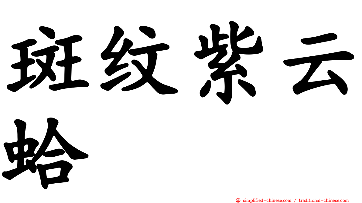斑纹紫云蛤