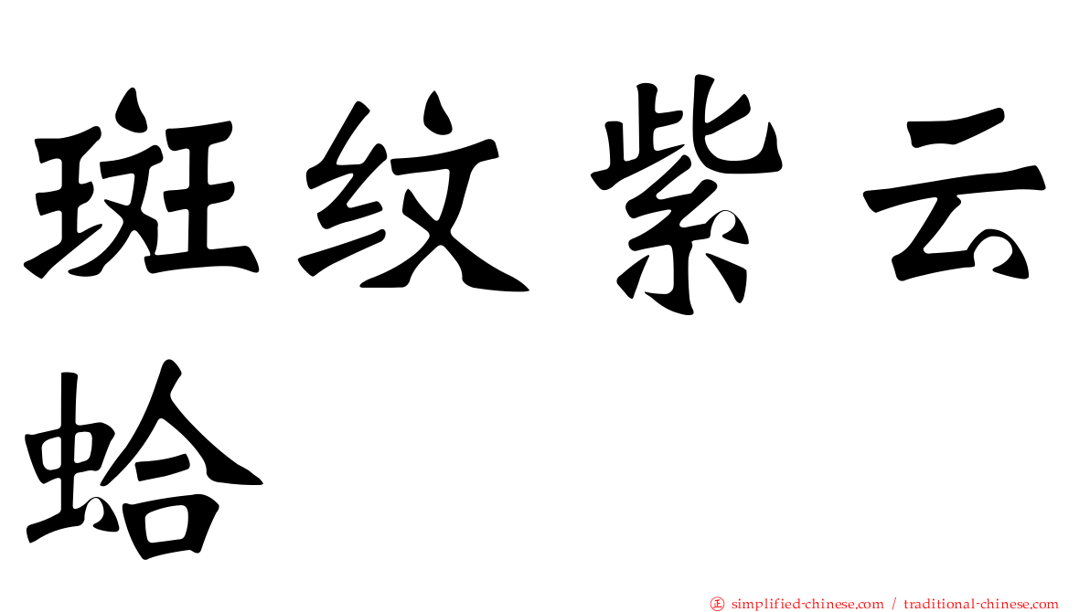 斑纹紫云蛤