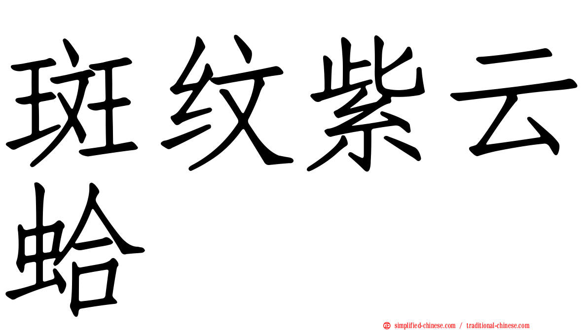 斑纹紫云蛤