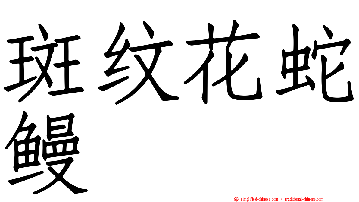斑纹花蛇鳗