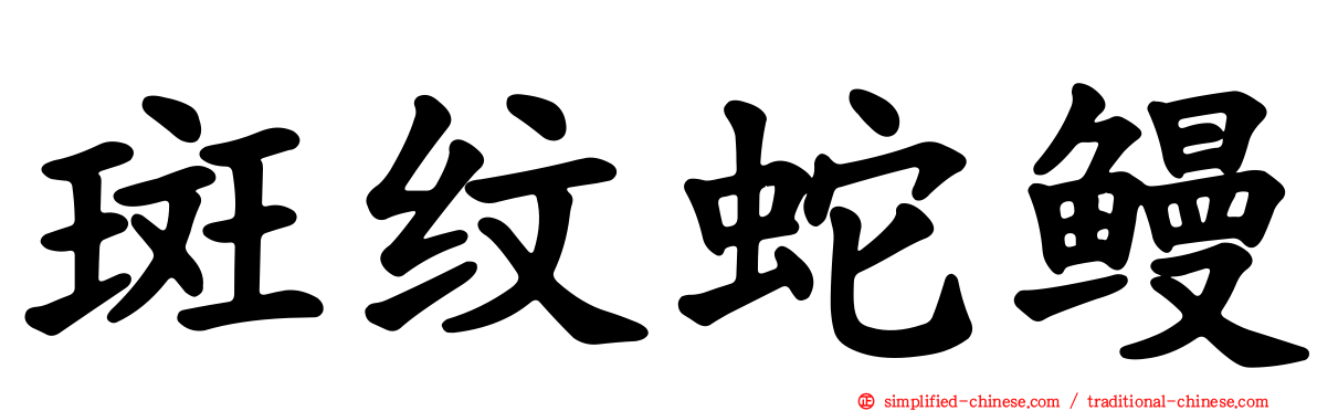 斑纹蛇鳗