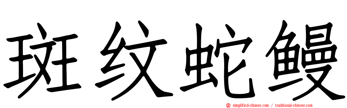斑纹蛇鳗