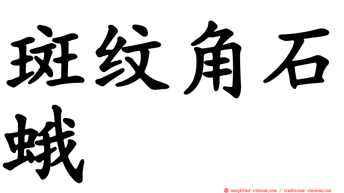 斑纹角石蛾