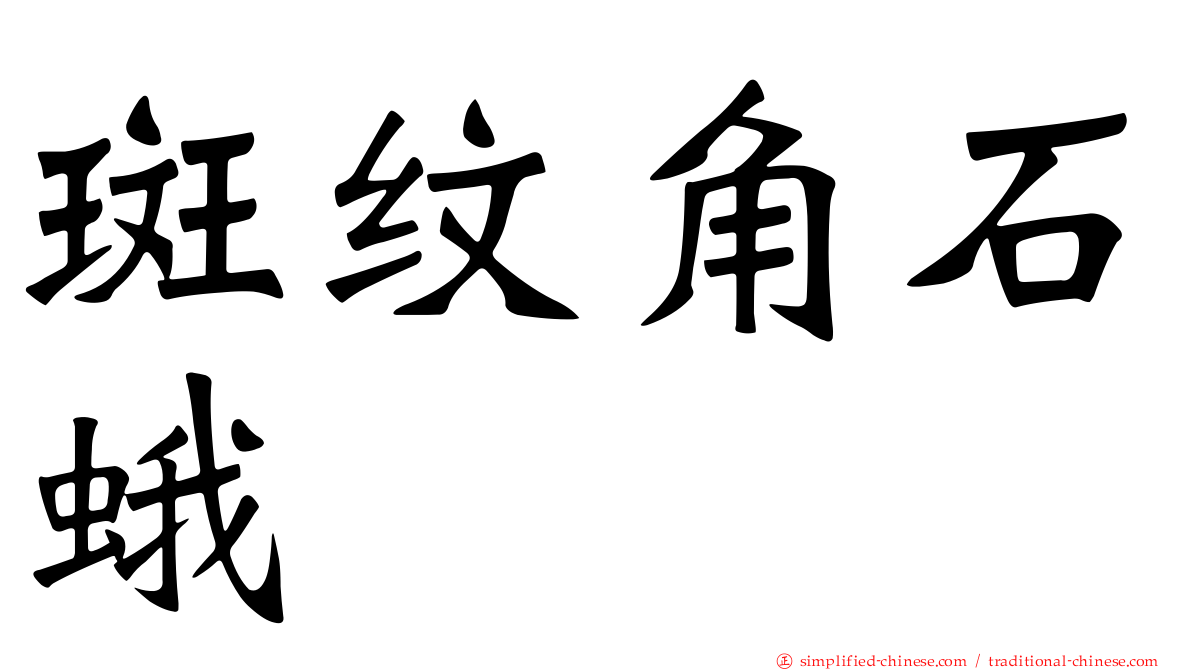 斑纹角石蛾