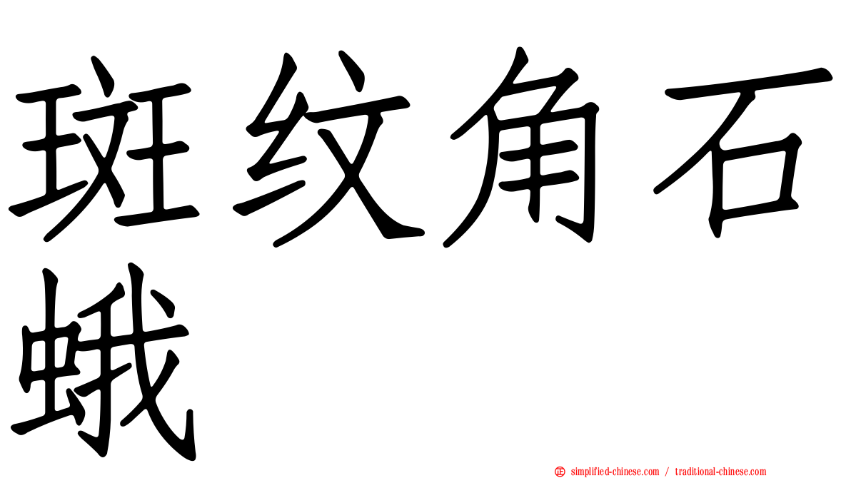 斑纹角石蛾