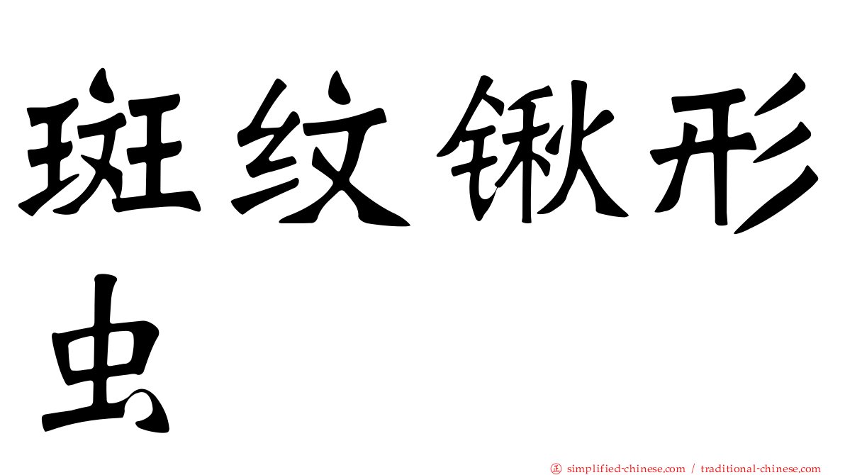 斑纹锹形虫