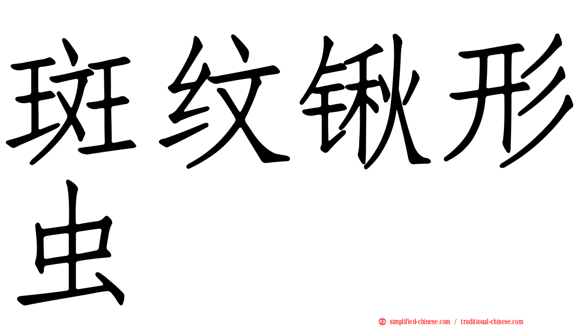 斑纹锹形虫