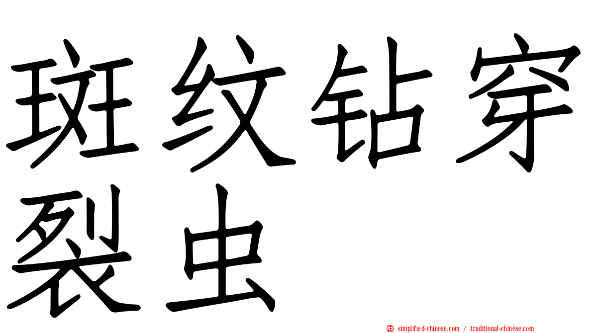 斑纹钻穿裂虫