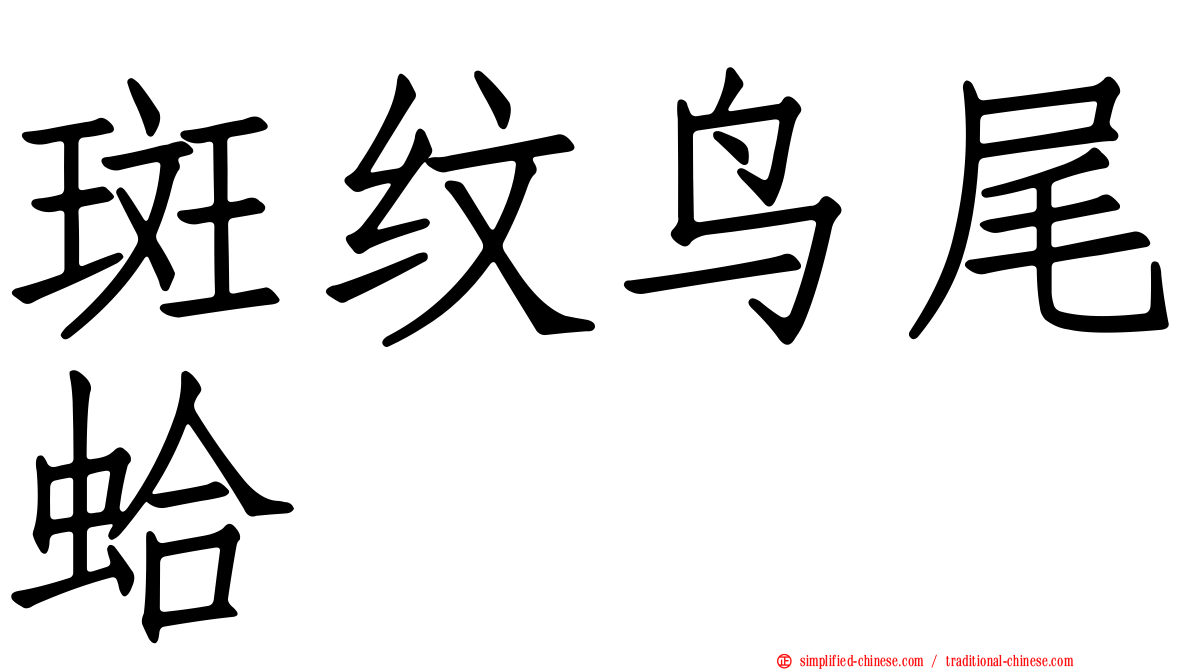 斑纹鸟尾蛤