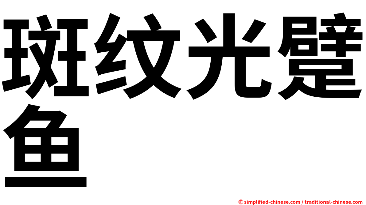 斑纹光躄鱼