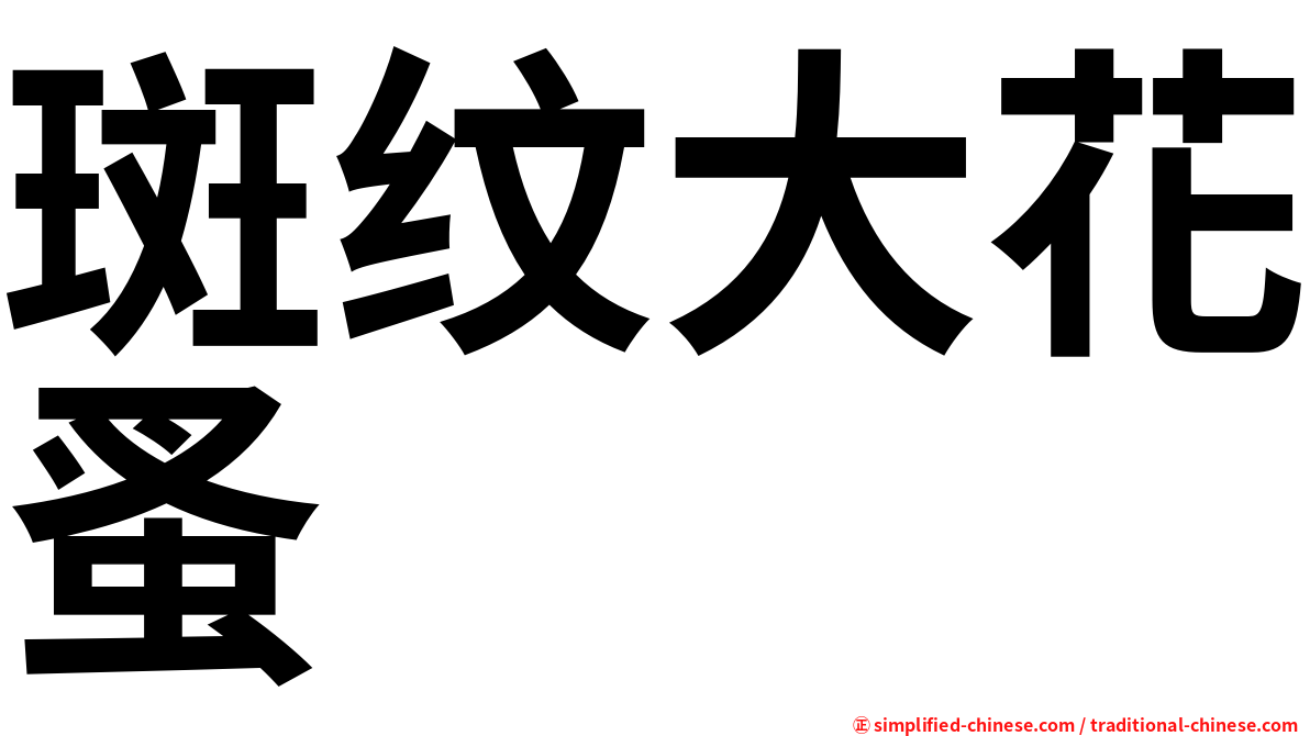 斑纹大花蚤