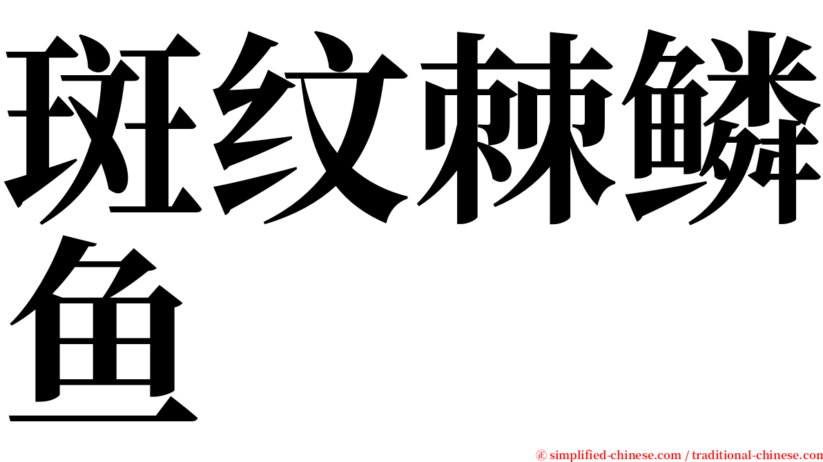 斑纹棘鳞鱼 serif font