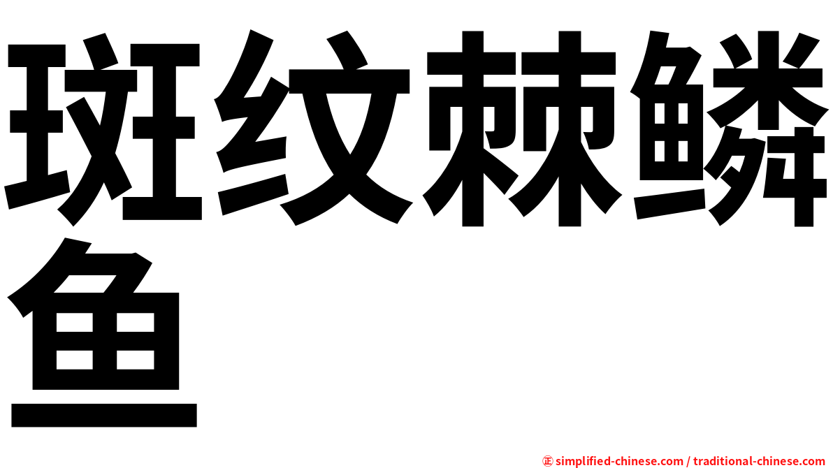 斑纹棘鳞鱼