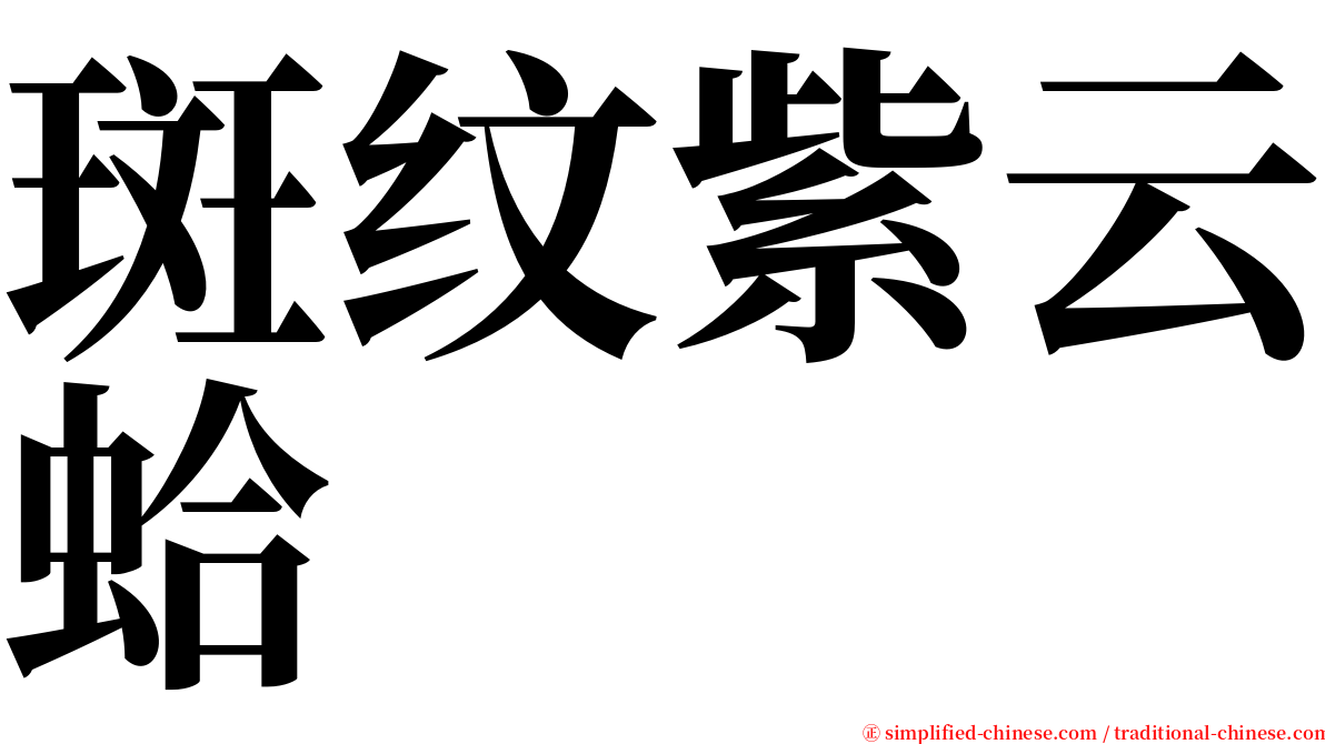 斑纹紫云蛤 serif font