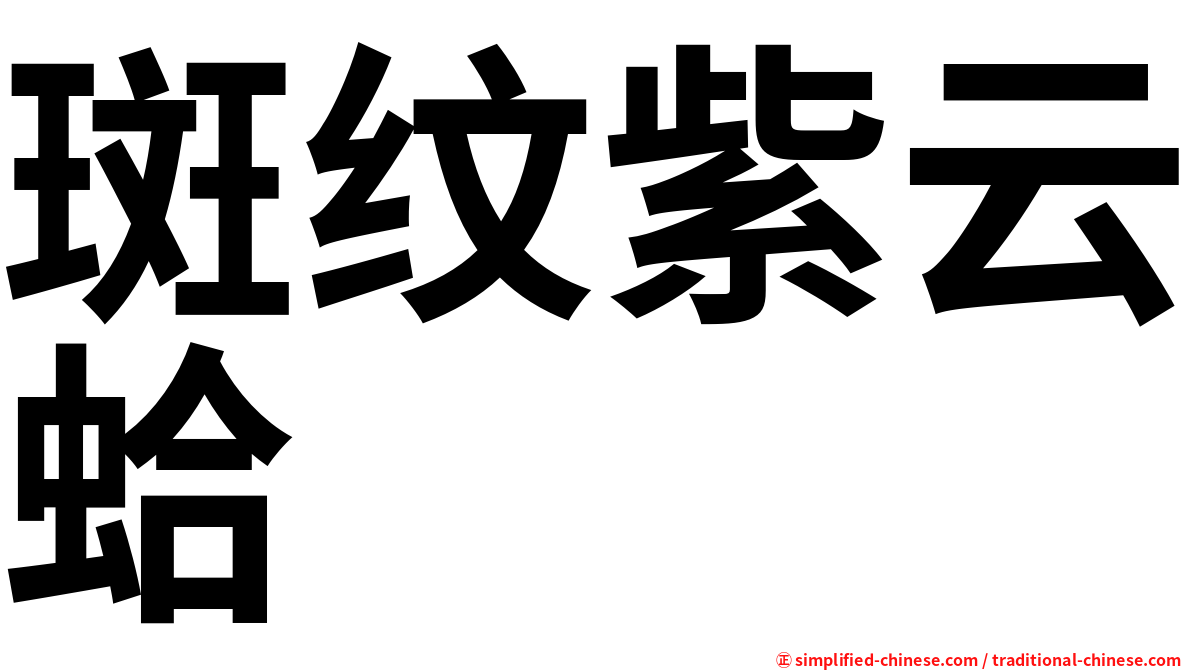 斑纹紫云蛤