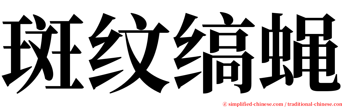 斑纹缟蝇 serif font