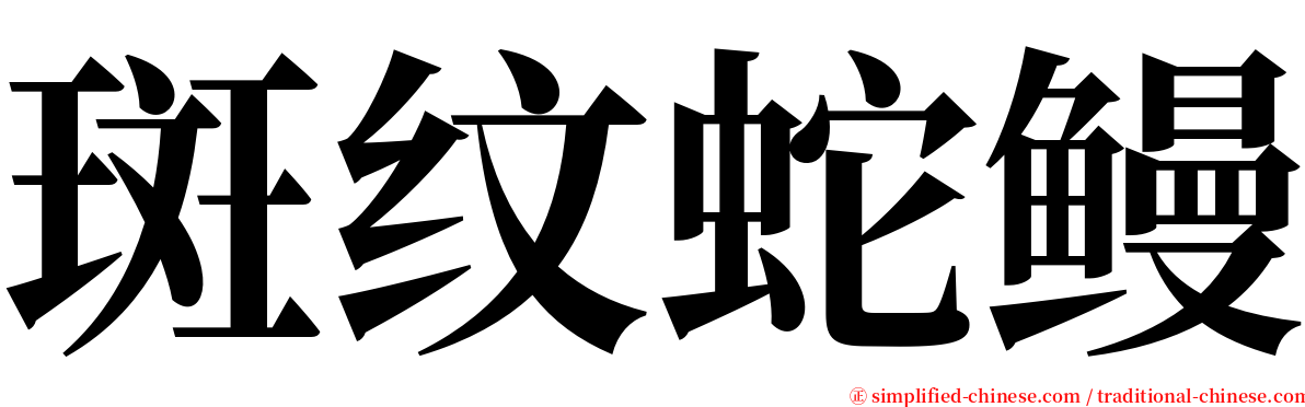 斑纹蛇鳗 serif font