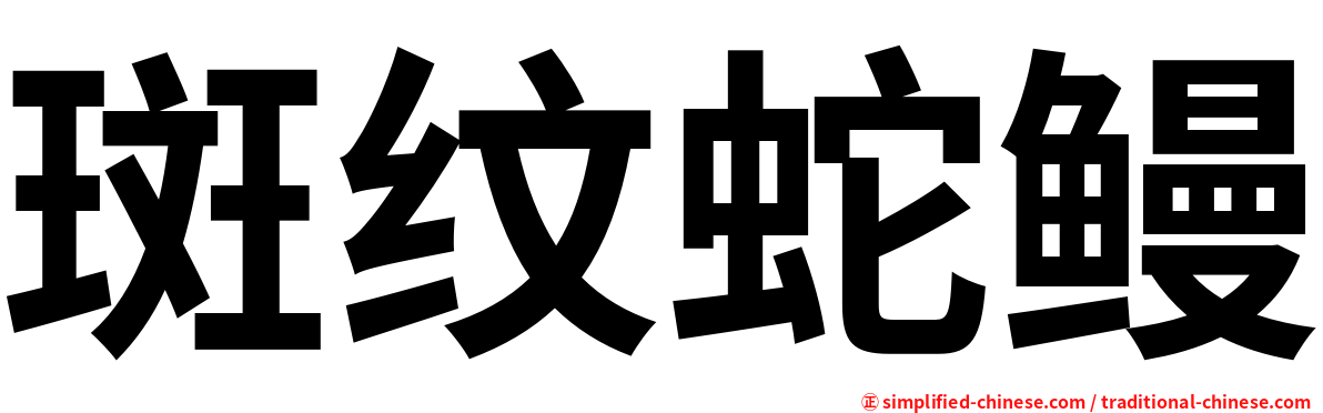 斑纹蛇鳗