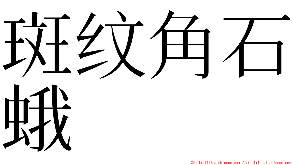 斑纹角石蛾 ming font