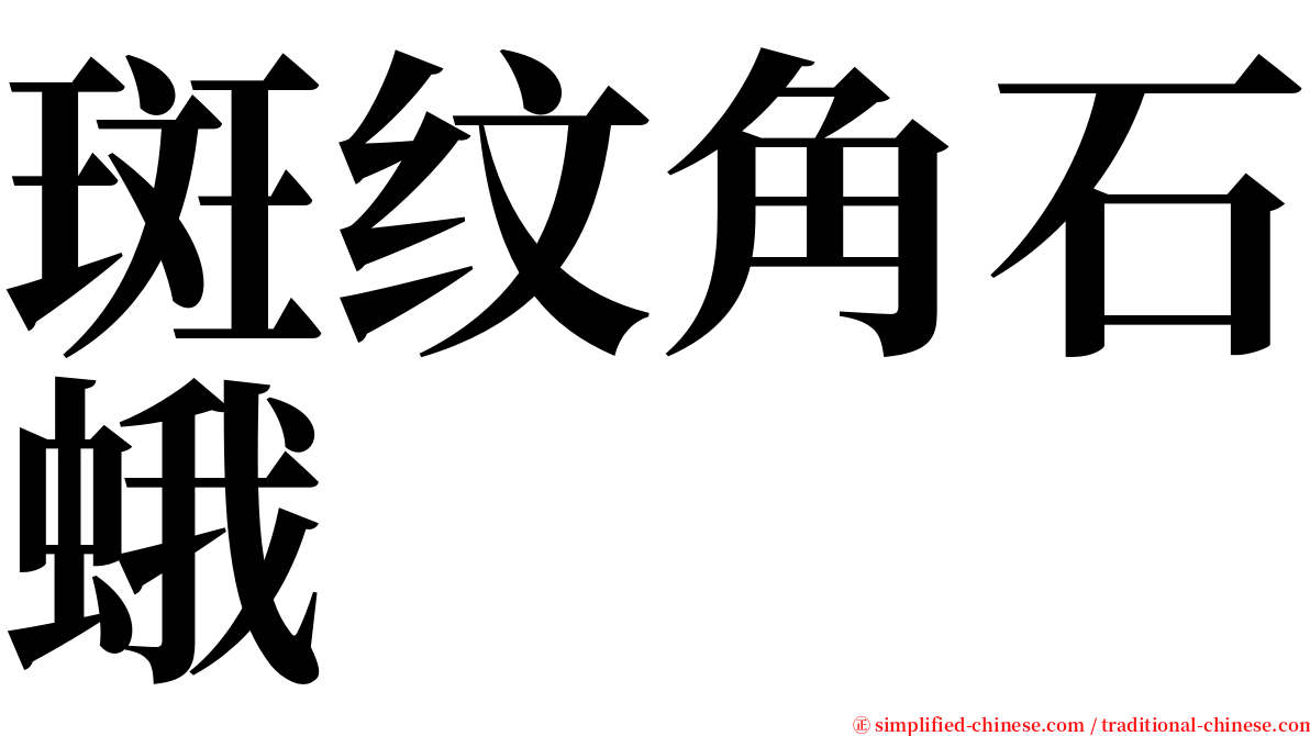 斑纹角石蛾 serif font