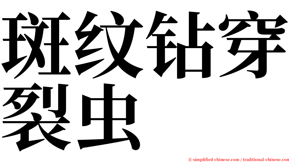斑纹钻穿裂虫 serif font