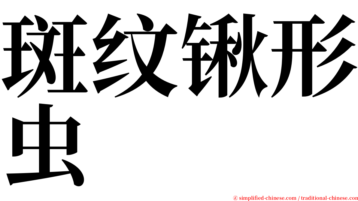 斑纹锹形虫 serif font